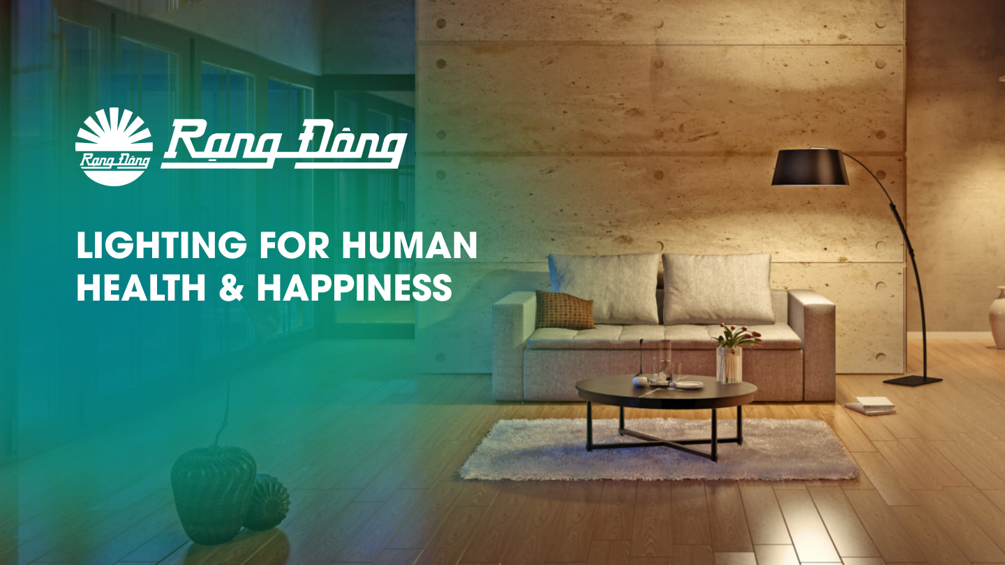 Rang Dong's floating LED Downlights mean savings, efficiency