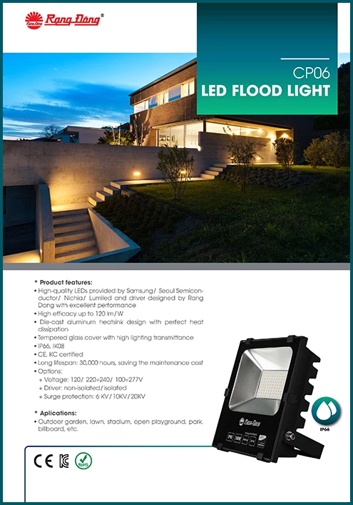 CP06 LED Flood light