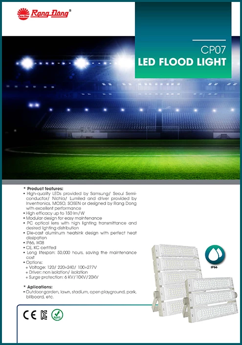 CP07 LED Flood light
