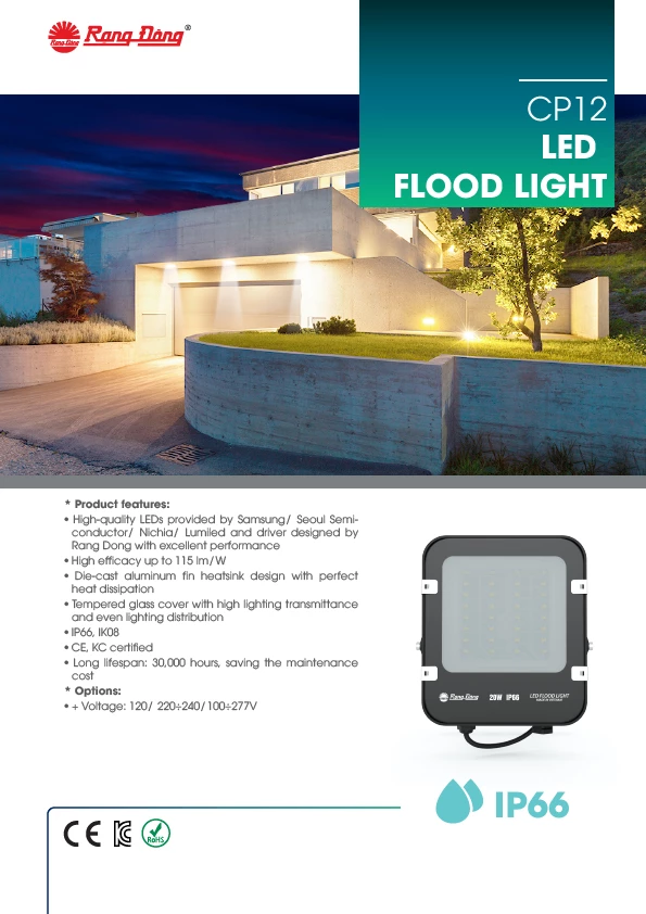 CP12 LED FLOOD LIGHT