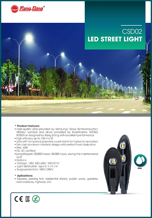 CSD02 LED Street light