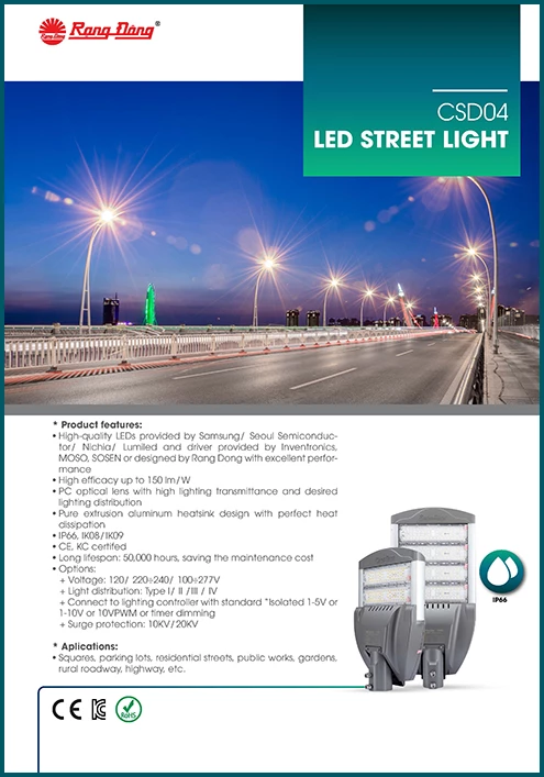 CSD04 LED Street light