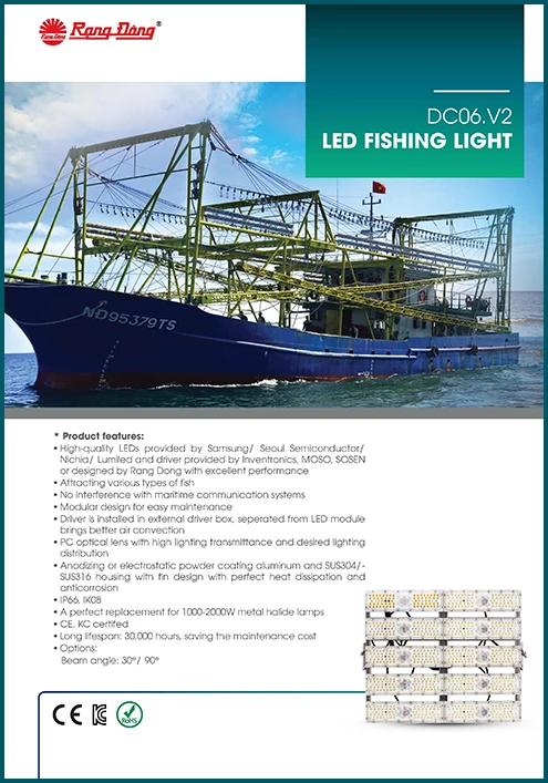 DC06.V2 LED Fishing light