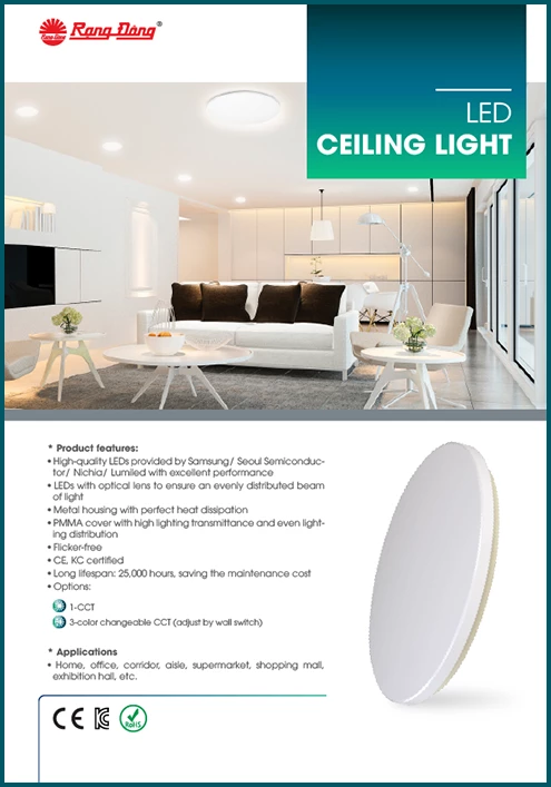 LED CEILING LIGHT