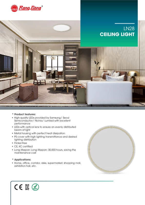 LN28 CEILING LIGHT