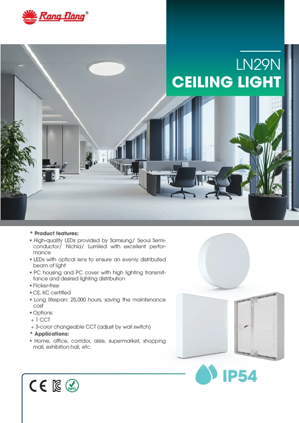 LN29N CEILING LIGHT