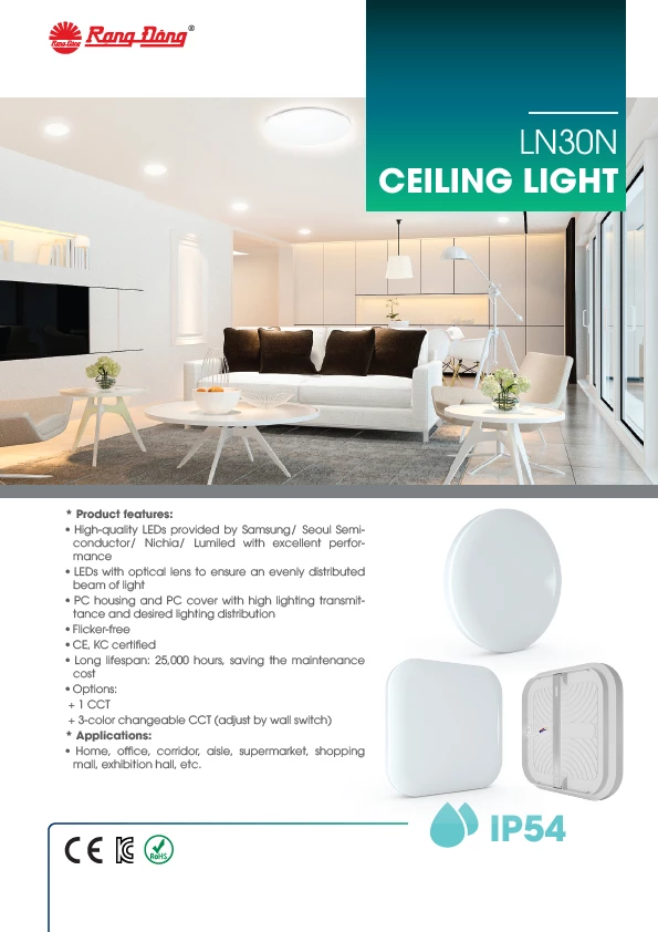 LN30N CEILING LIGHT