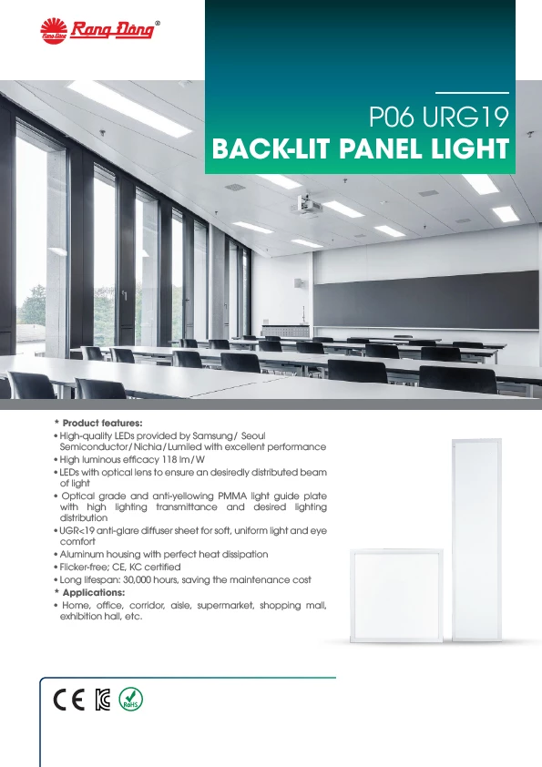 P06 URG19 BACK-LIT PANEL LIGHT