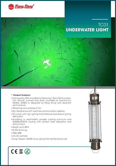 TC01 Underwater light