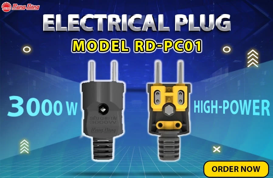 Rang Dong’s Electrical Plug Keeps Reliable Power Supply