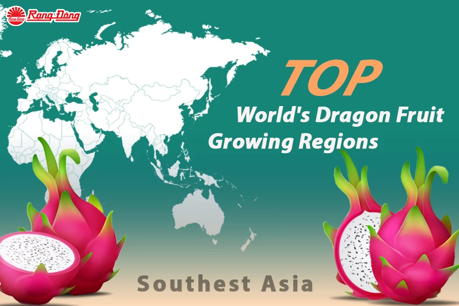 Southeast Asia Tops World's Dragon Fruit Growing Regions
