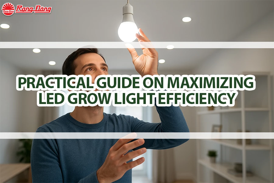 Practical Guide on Maximize LED Grow Lights Efficiency