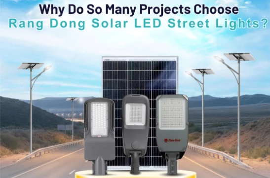 Rang Dong’s Solar LED Street Lights Aid Sustainable Projects