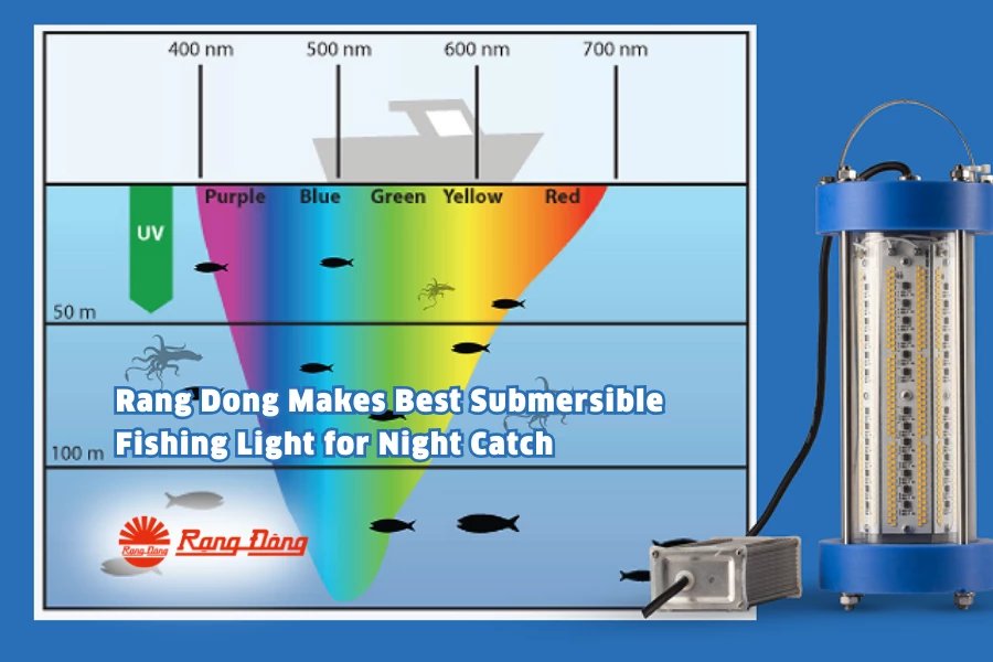 Rang Dong Makes Best Submersible Fishing Light for Night Catch