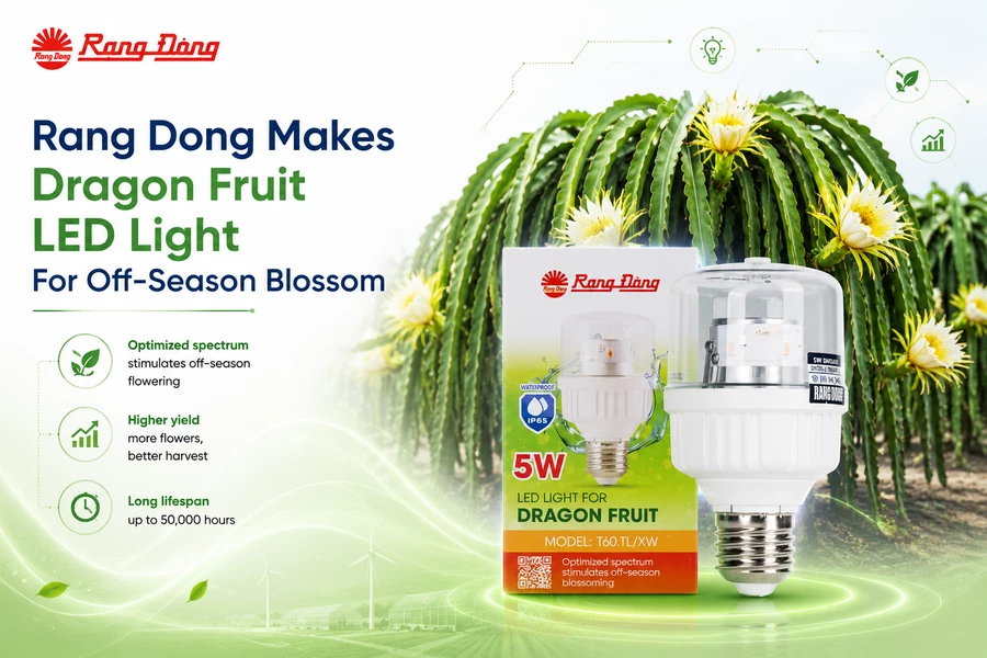 Rang Dong Makes Dragon Fruit LED Light For Off-Season Blossom