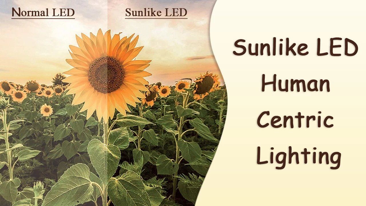 SunLike LED, one of the best technologies to make our life better