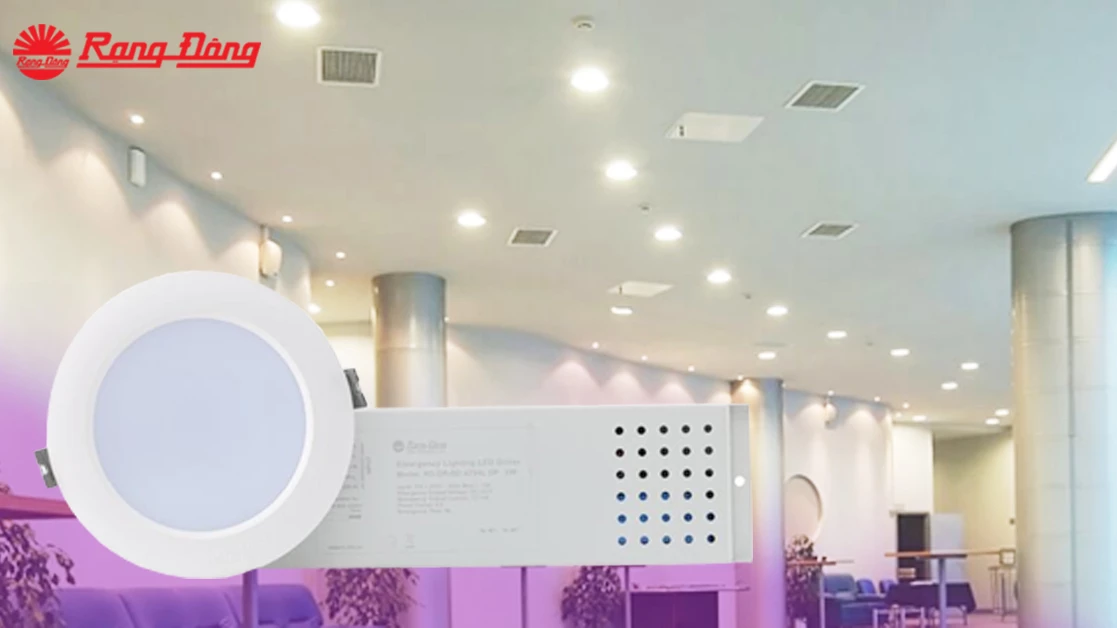 LED Downlight with battery backup