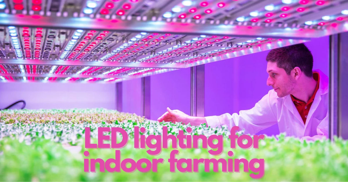 Results of LED lighting for indoor farming may be a surprise