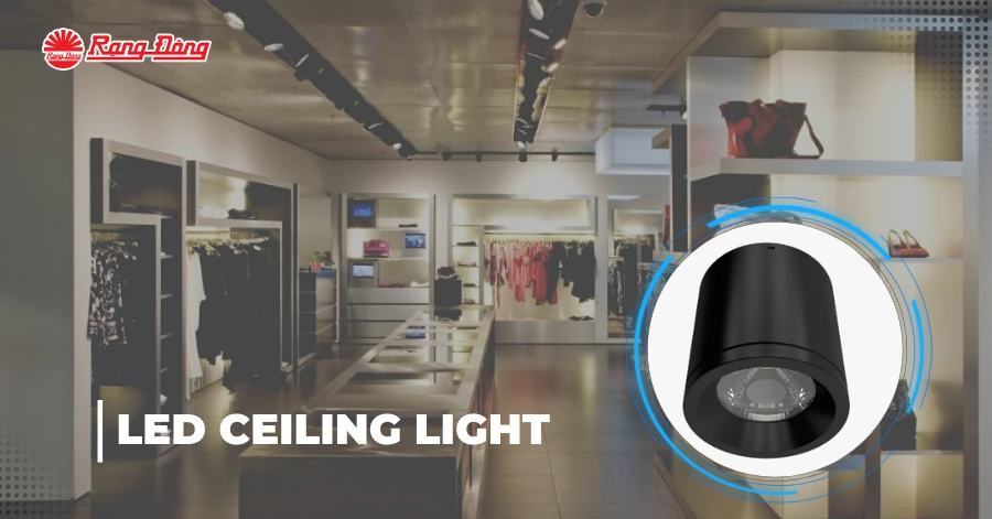 Rang Dong’s LED Ceiling light makes good tool for accent lighting