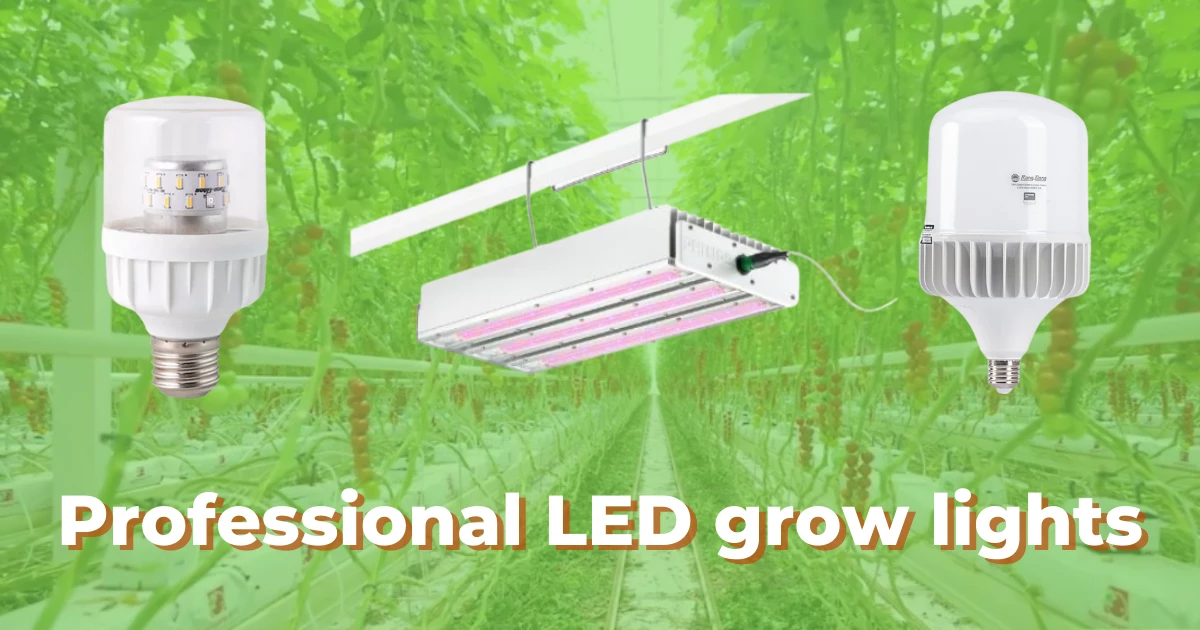 Professional LED grow lights have wide use in horticulture
