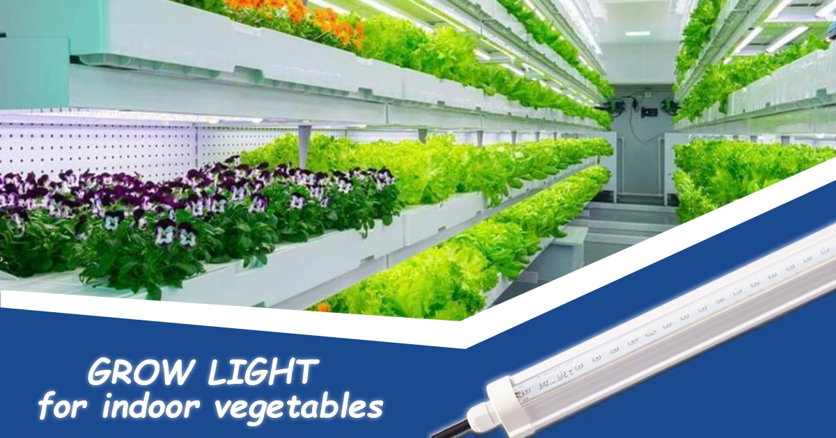 Grow light for indoor vegetables - ideal tool for farms