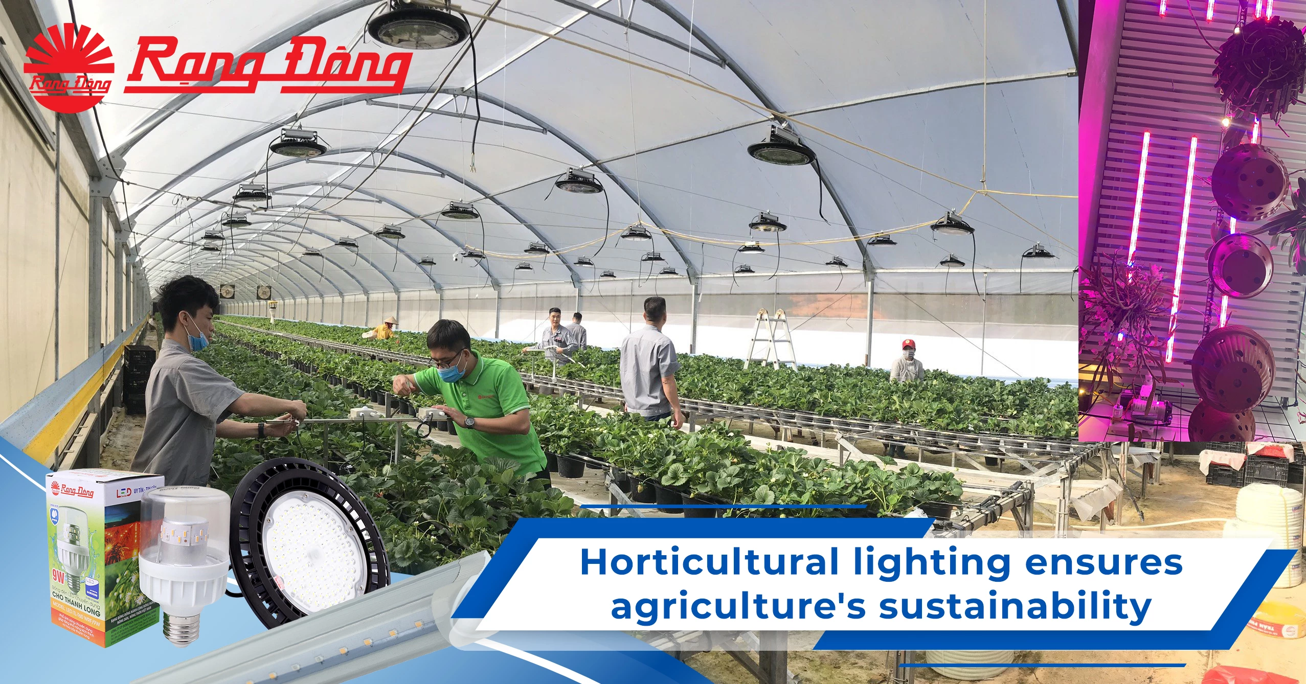 Horticultural lighting ensures agriculture's sustainability