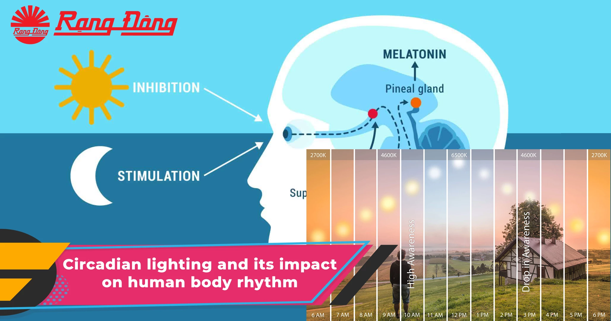 Circadian lighting and its impact on human body rhythm