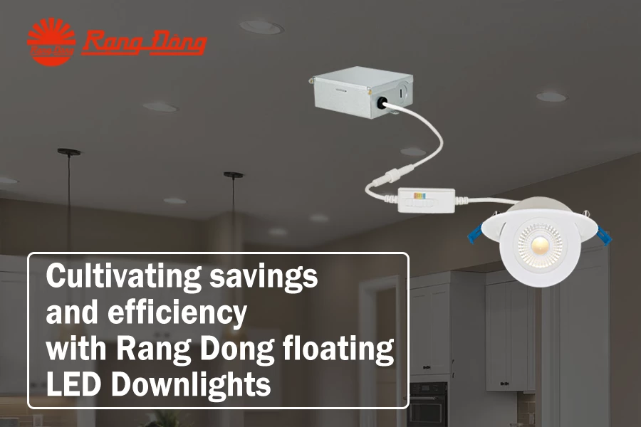 Rang Dong's floating LED Downlights mean savings, efficiency