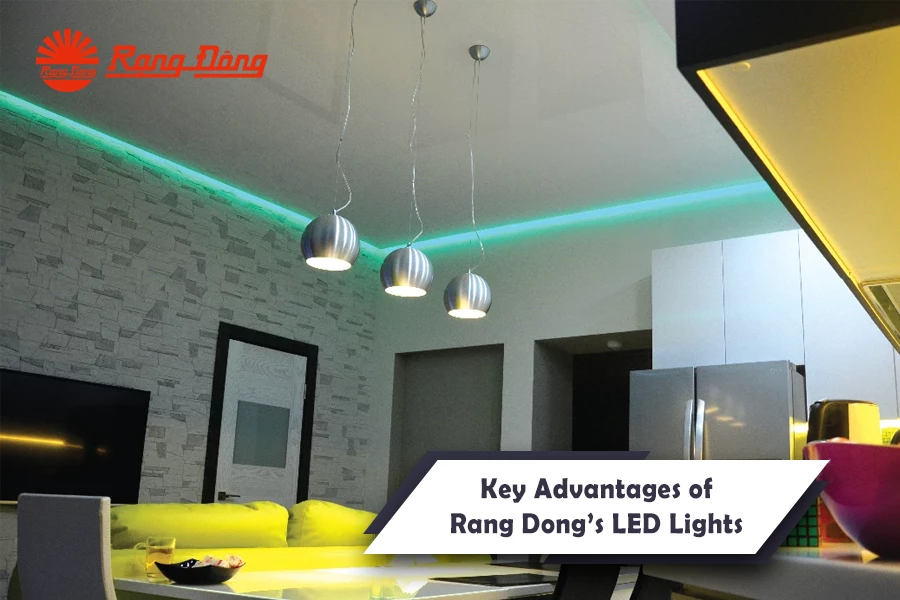 Key Advantages of Rang Dong’s LED Lights