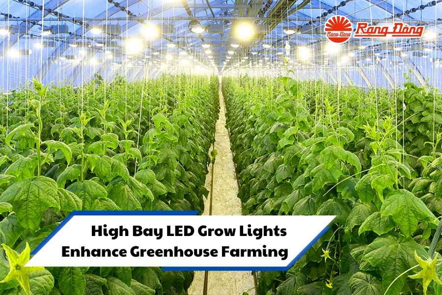 High Bay LED Grow Lights Enhance Greenhouse Farming