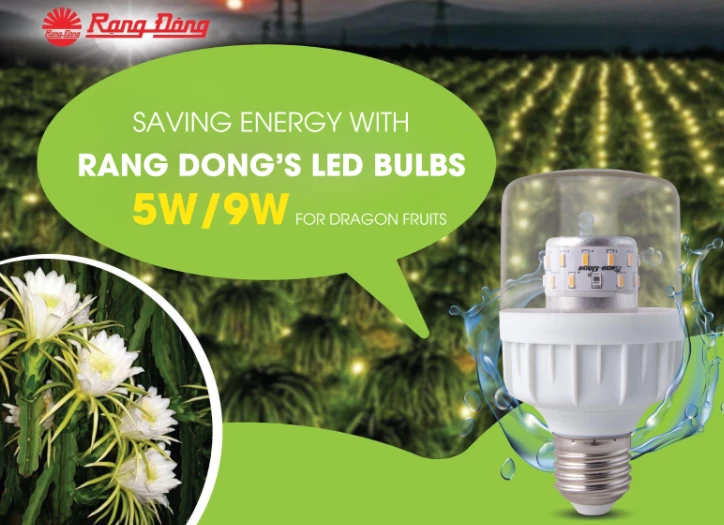 Rang Dong’s LED light for pitaya aims to boost fruit growth