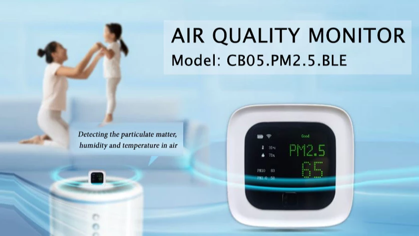 PM 2.5 air quality monitor – a must-have item for a smart home