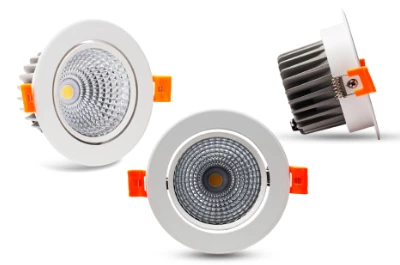 Rang Dong's Adjustable COB Downlight Offers Precision, Elegance