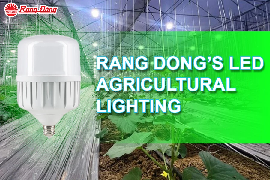 Maximizing Cantaloupe Yields and Quality with Rang Dong’s LED Agricultural Lighting