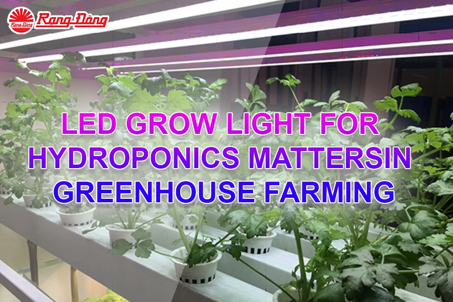 LED Grow Light for Hydroponics Matters in Greenhouse Farming