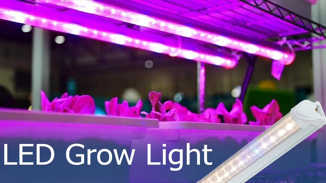 LED grow light with right spectrum serves best medicinal plants