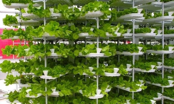 LED Grow Lights for Vertical Farming