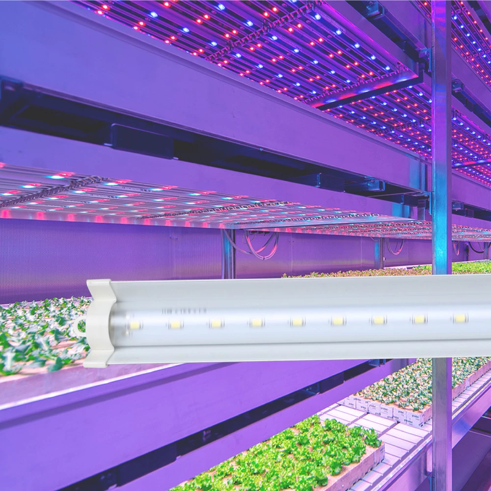 LED GROW LIGHT FOR VEGETABLE (Korea Market)